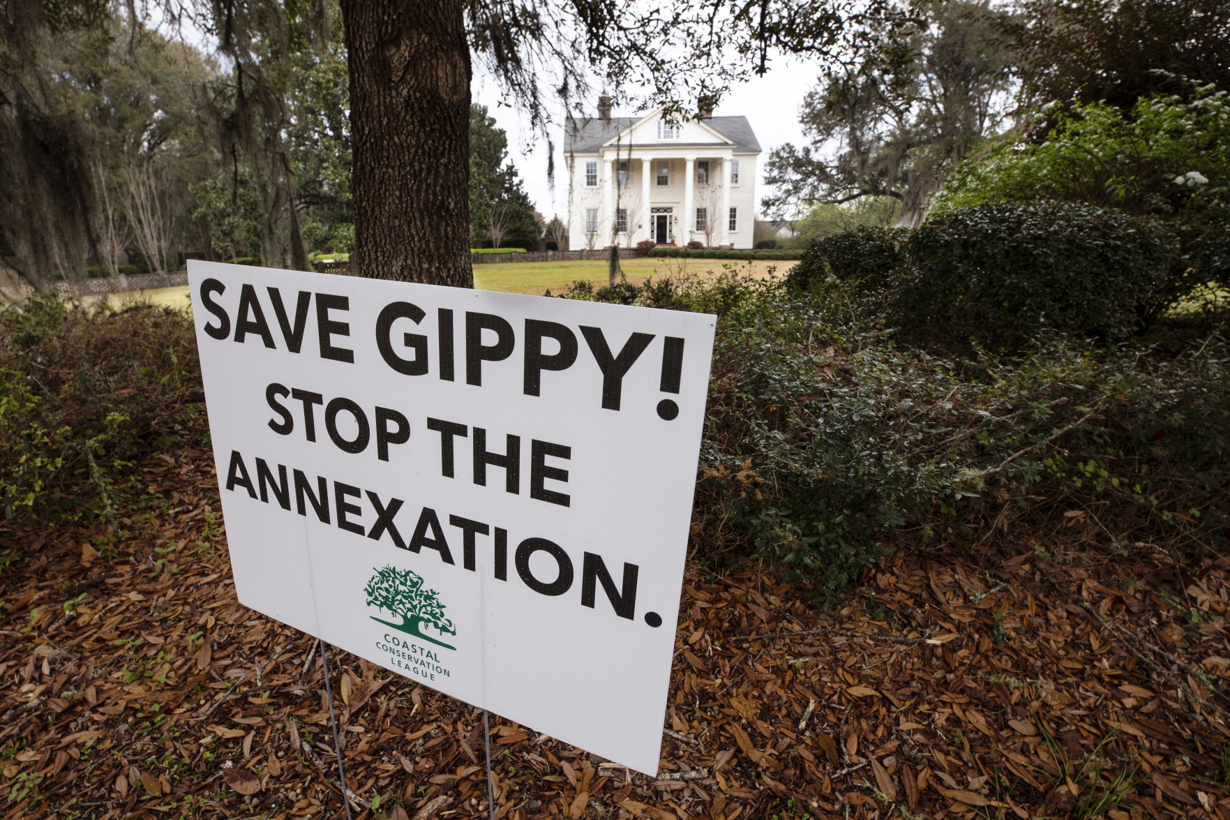 Gippy Plantation SECONDARY.JPG